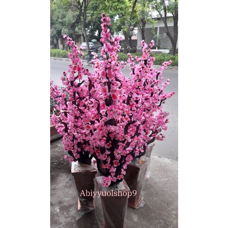 Bunga Sudut Sakura Jumbo / Bunga Hias Sakura Rimbun