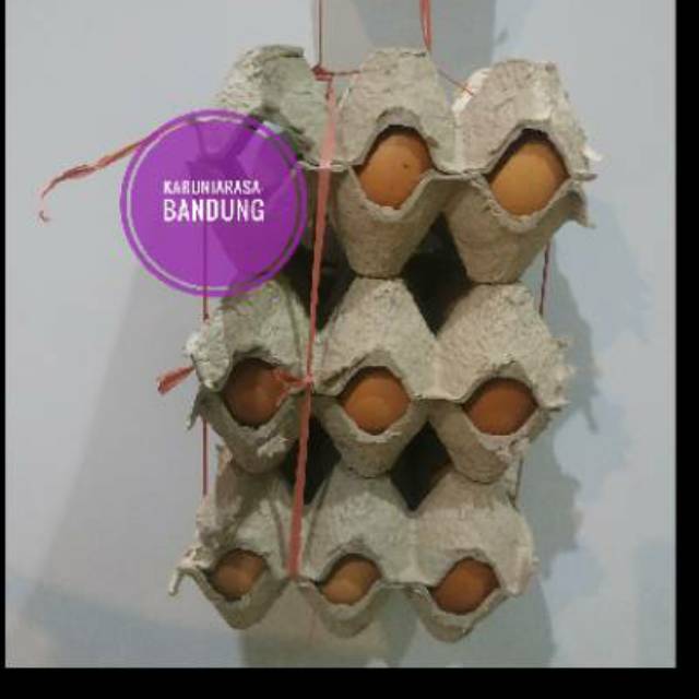 

Telur 1 Kg / Telur Kiloan