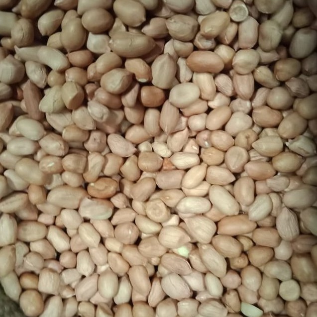 

Kacang Tanah 250 gram (Repack)
