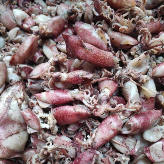 

Cumi Kering 200gr Kualitas Premium / Super