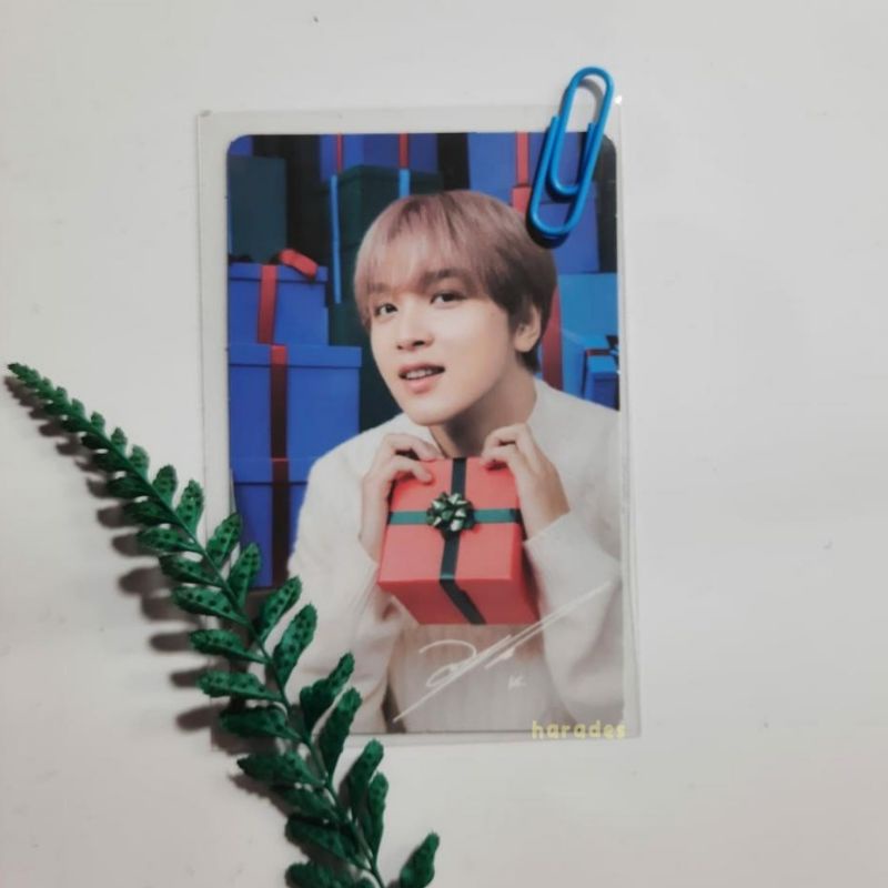 PHOTOCARD / PC NATURE REPUBLIC X NCT 127 CICA WONDERLAND HAECHAN
