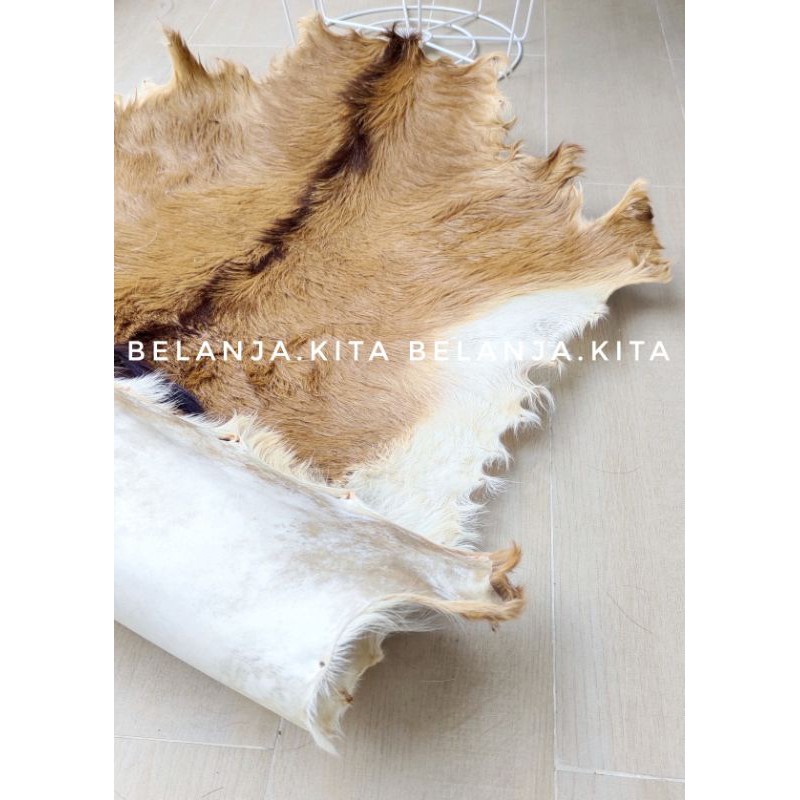 KULIT KAMBING LEMBARAN