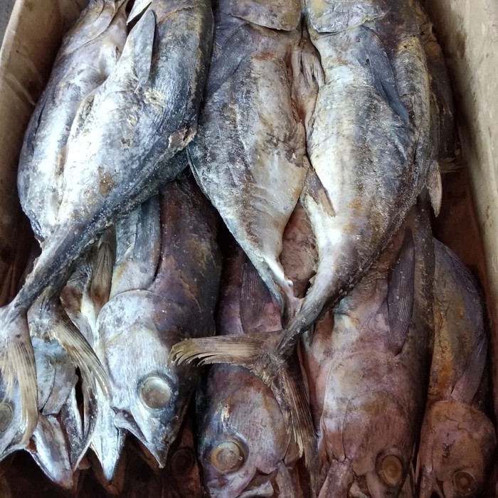 

Ikan Asin Tongkol (Tuna) per 1 kg