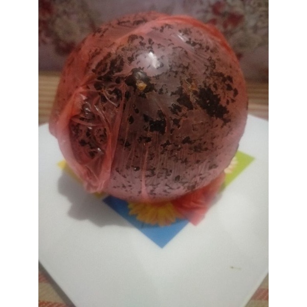 

Gula Merah Saparua Khas Ambon(Maluku)1bungkus Isi 2 Belah