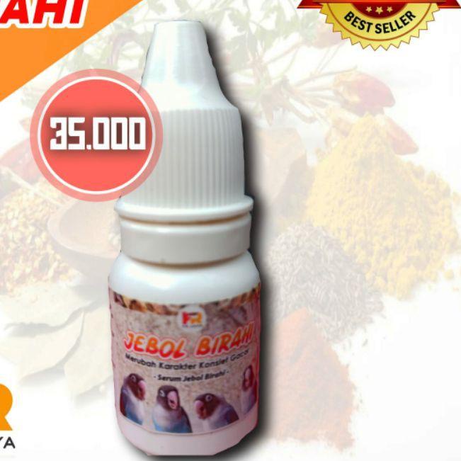 ← Jebol Birahi ☪