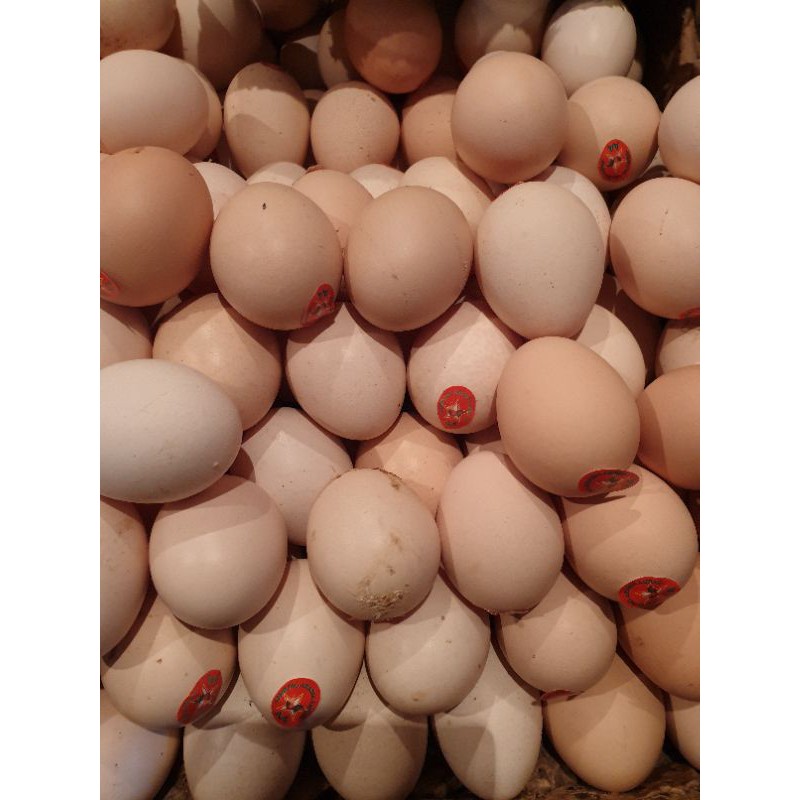 

Telur Ayam Kampung Omega Asli Original Pasar segar depok