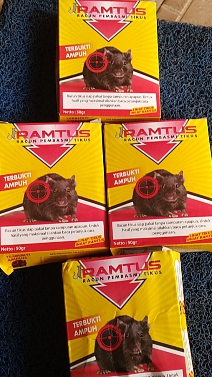 Ramtus Racun Tikus Ampuh Mati Kering Tidak Bau Pembasmi Curut Wirog Mencit Dirumah Di Mobil 3 Pack