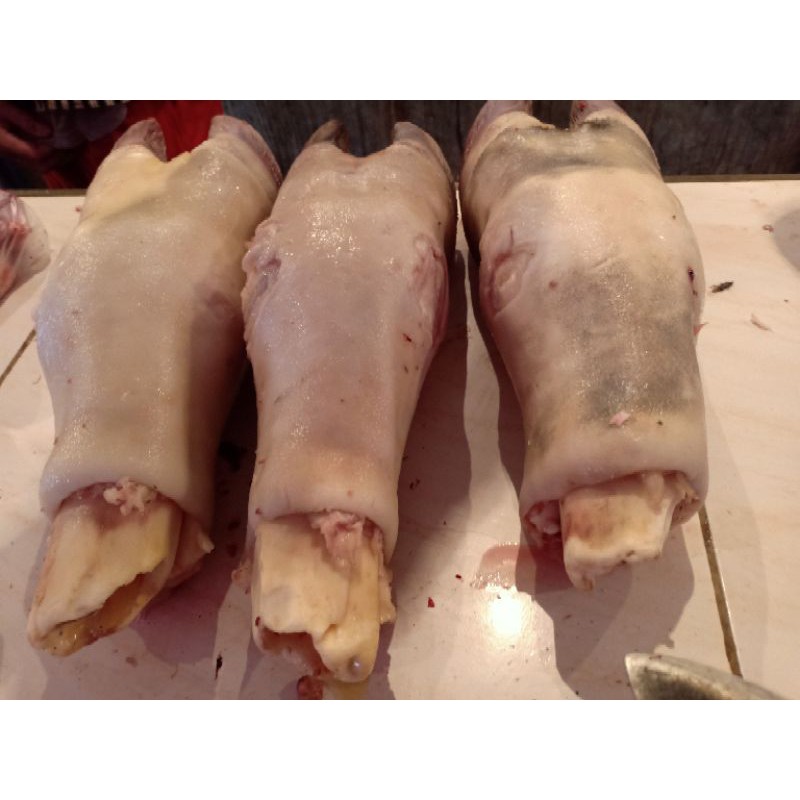 

KAKI SAPI BESAR BARU D POTONG KAK