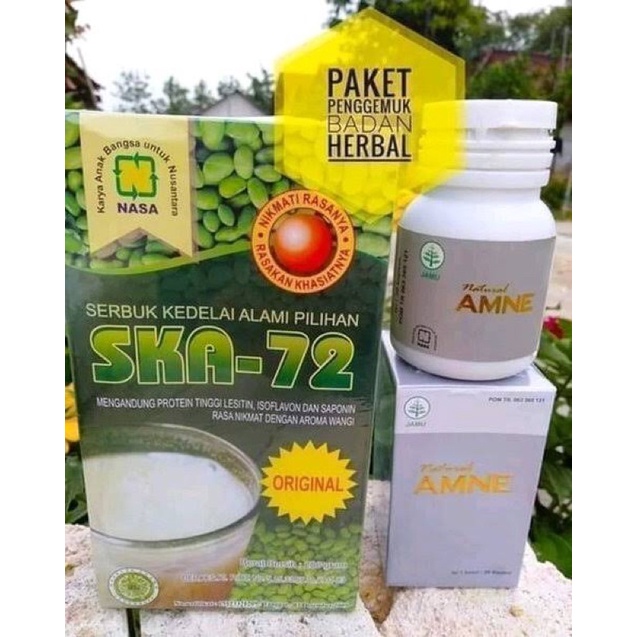 

Paket Penggemuk Badan NASA