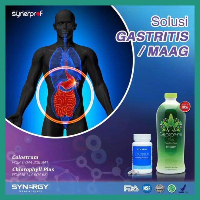 Chlorophyll 730ml + Colostrum 90 kapsul Paket Solusi Lambung/Gastritis/Maag 100% Original Synergy