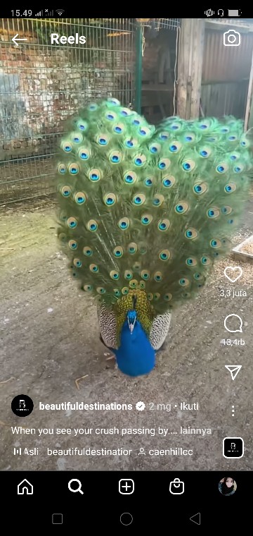 Batik Couple Keluarga Modern Sania Ruffle Ori Ndoro Jowi Dnt Termurah Shopee Motif  Bakung