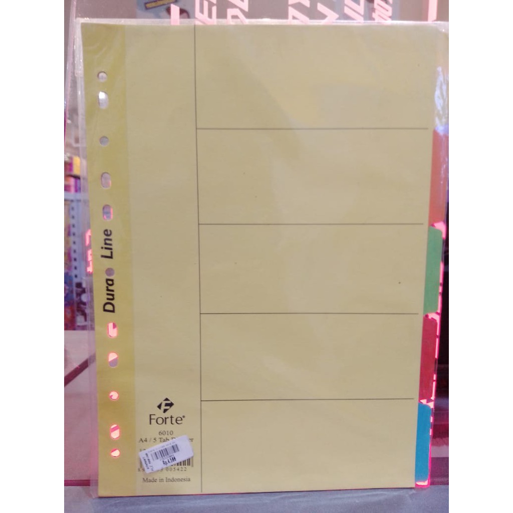 Forte divider 6010 A4