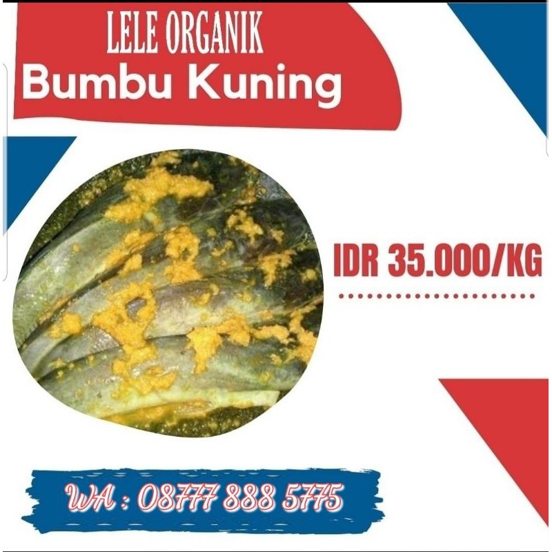 

LELE BUMBU KUNING ORGANIK