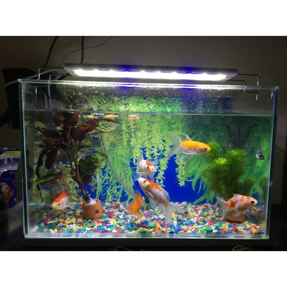 Lampu Aquarium Akuarium LED Yamano P400 Yamano P 400