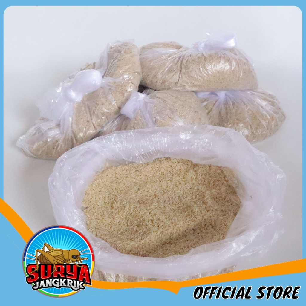 Telur Jangkrik Kualitas SUPER telur Jangkrik Asli ALAM 300