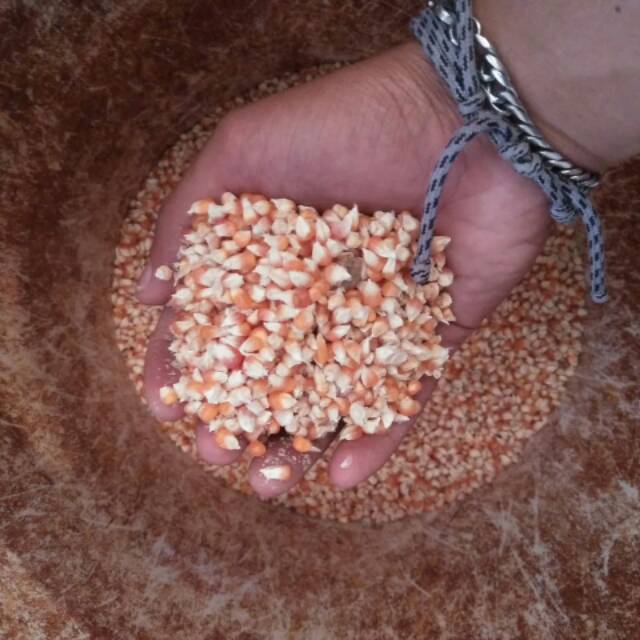 Jagung pakan burung dara makanan merpati bebek campur mix kristal ayam kemasan paket 500 gram