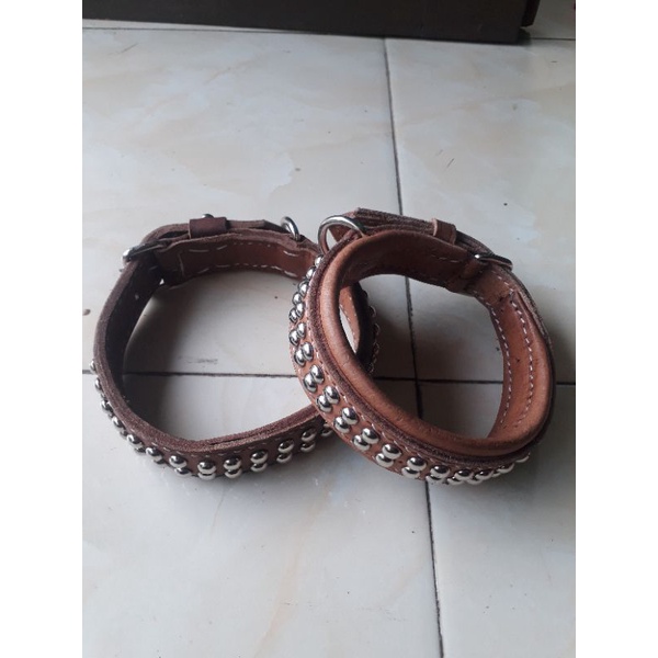 Kalung anjing kampung