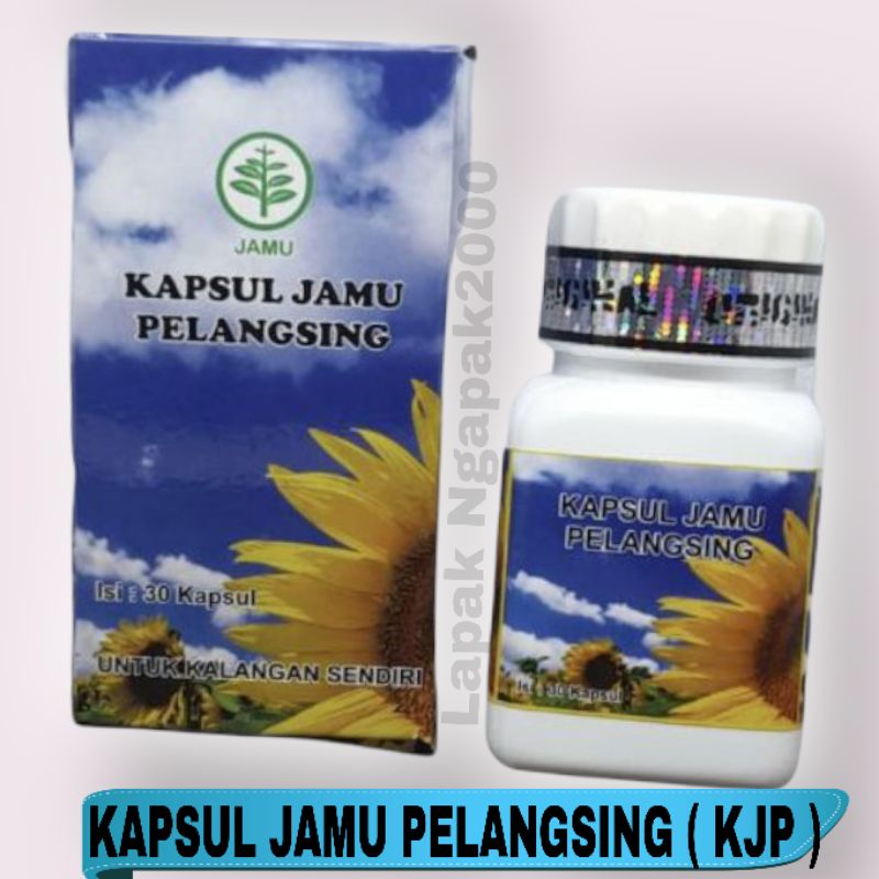 Jual Kapsul Jamu Pelangsing Kjp Indonesia Shopee Indonesia