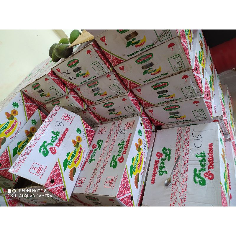 

Mangga Alpukat 1 dus isi 10-12kg