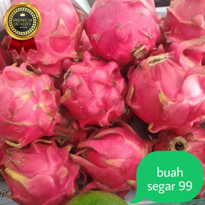 

Ay00! Buah Naga Merah Segar 1kg Rasa Manis Dan Sehat