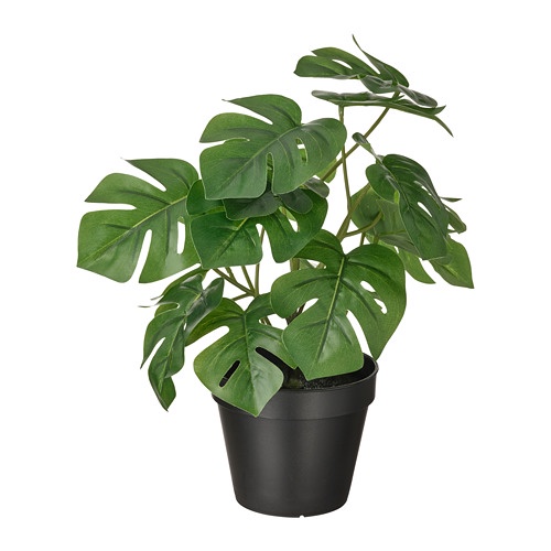 FEJKA Tanaman tiruan dalam pot, dalam/luar ruang monstera, 12 cm