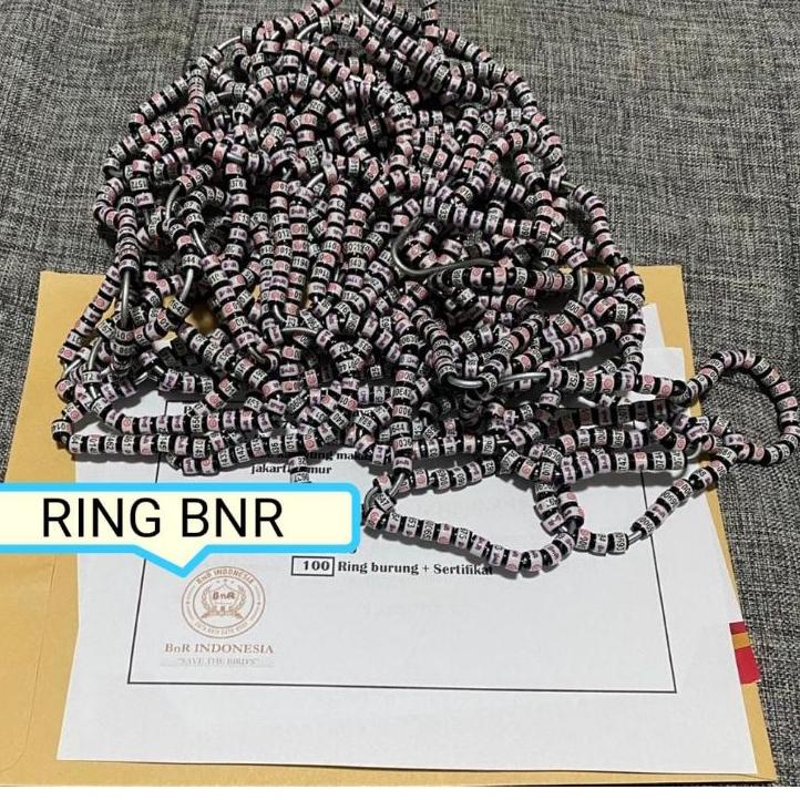 ✤ RING BNR MURAI DAN SERTIFIKAT ASLI RESMI TERPERCAYA RECOMENDED ۩