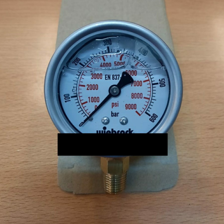 Pressure gauge ss brass 600bar