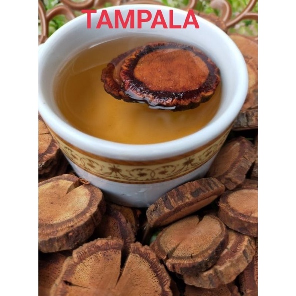 BAJAKAH TAMPALA MERAH