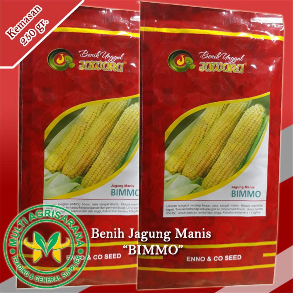 Benih Jagung manis BIMMO Berkualitas
