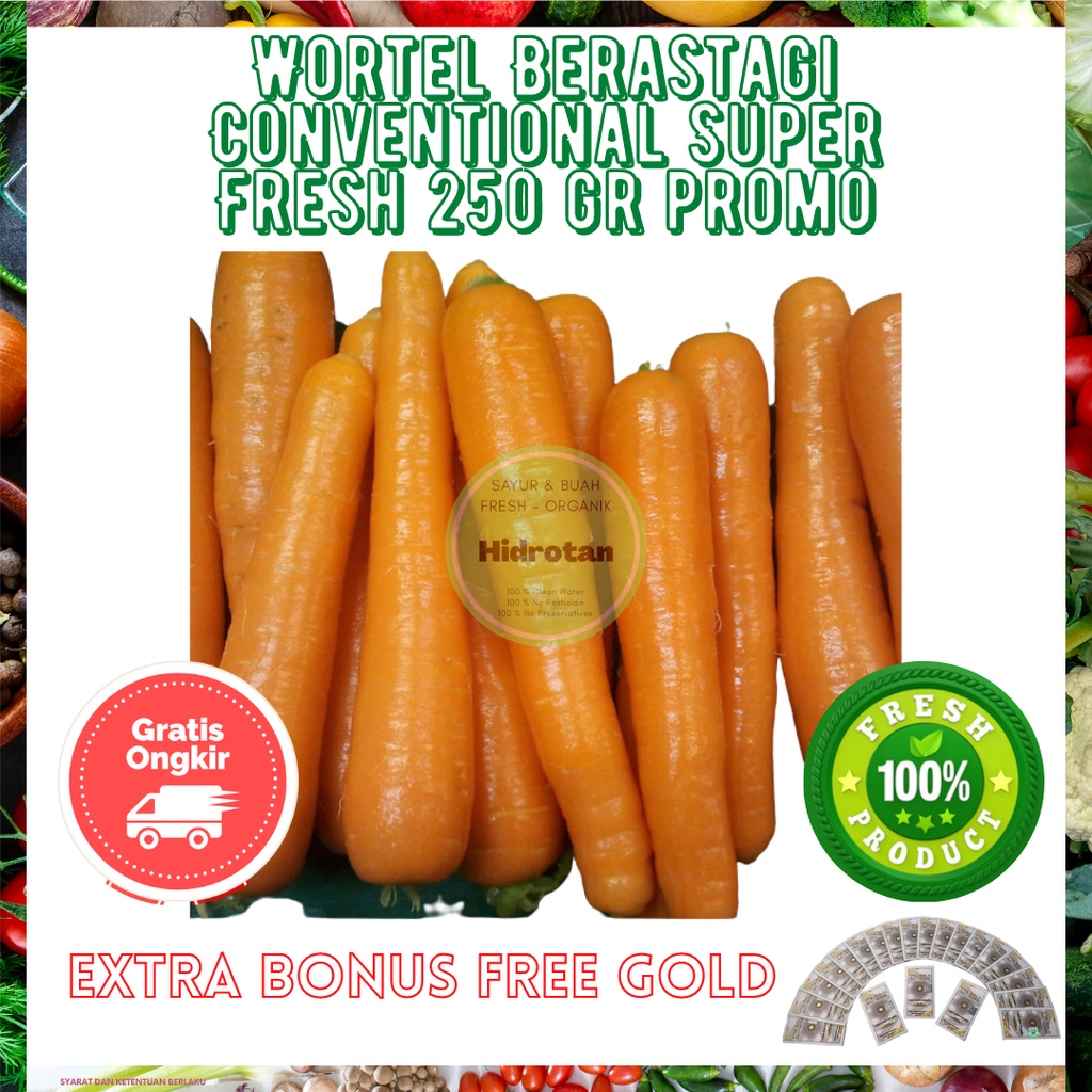 

Wortel Import Berastagi 250 gr - Sayuran Murah | Paket Makanan Segar | Combo Fresh - Promo Free Emas