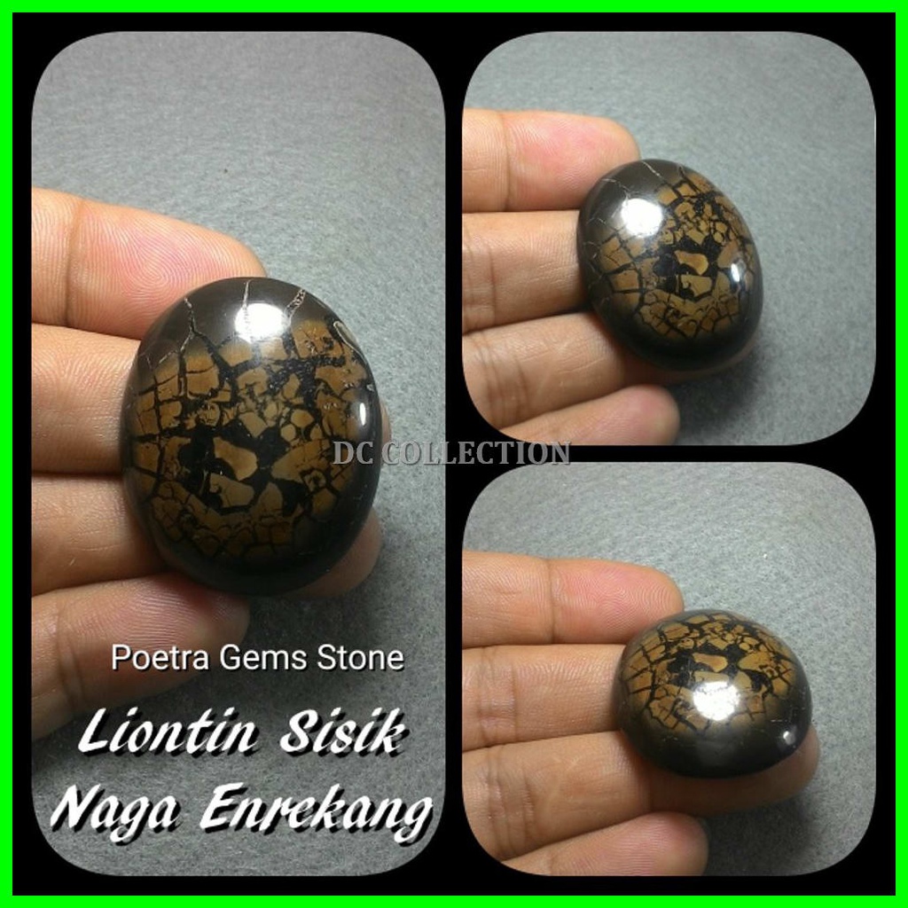 LIONTIN SISIK NAGA ENREKANG