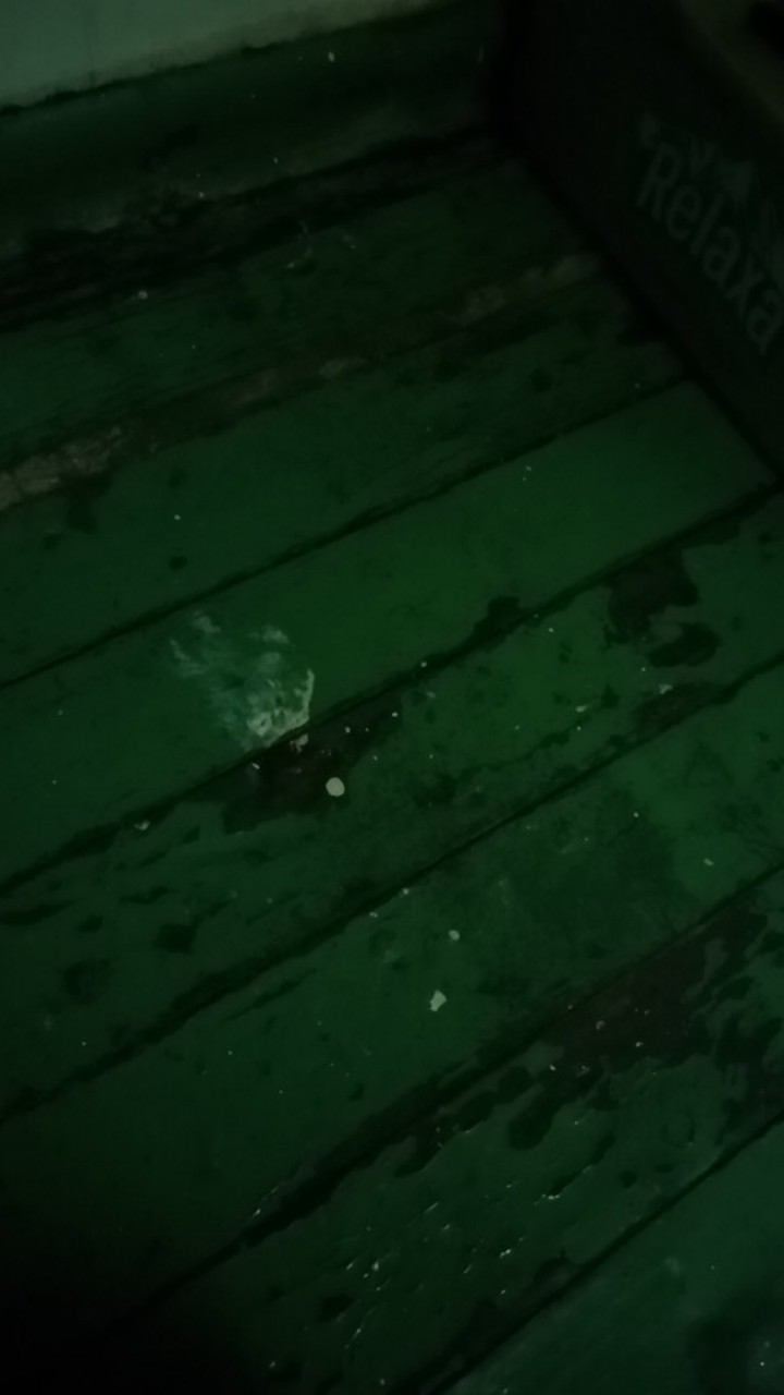 Botol Minum Termos Karakter 500 Ml Little Pony Doraemon Cars Keropi Frozen Hello Kitty