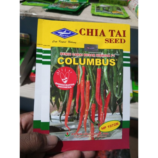 benih cabei besar hibridah F1 colombus