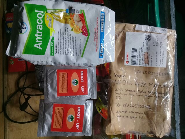 Antracol Kemasan Pabrik 250 Gram ( Fungisida )