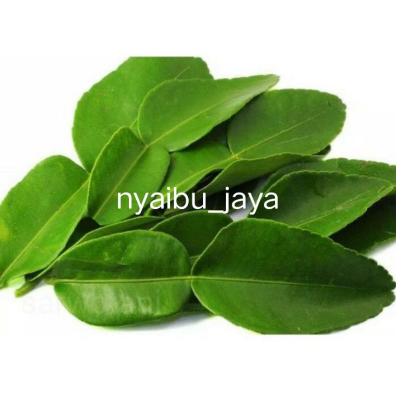 

daun jeruk segar 2biji