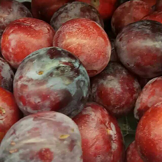 

Buah Plum