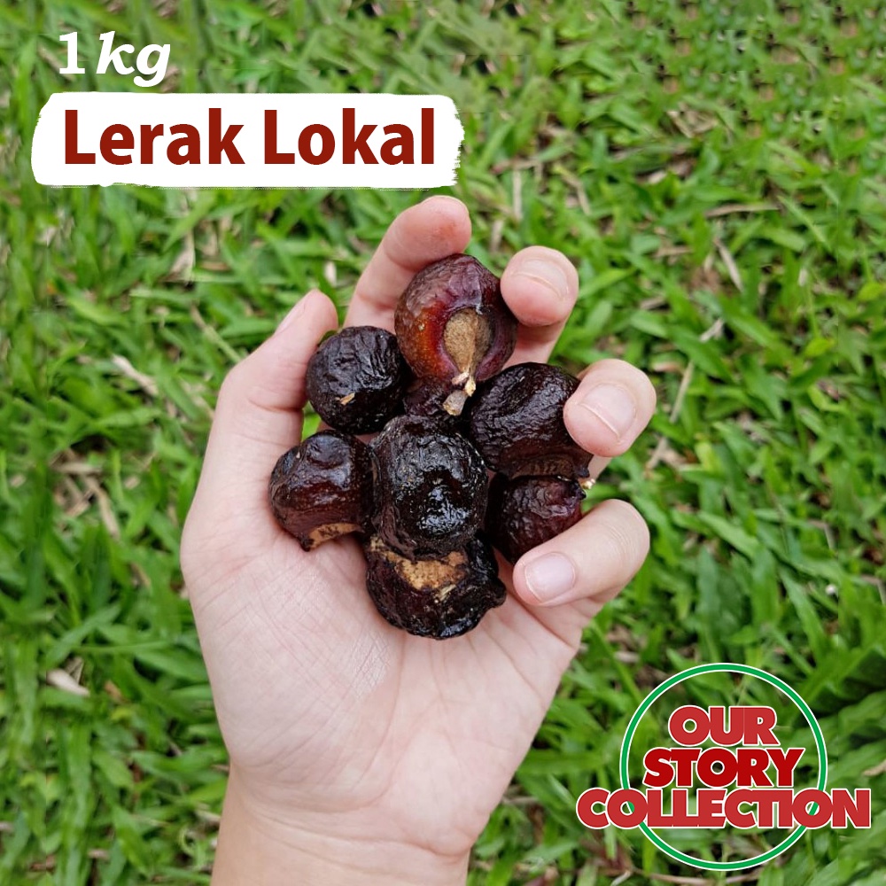 Lerak 1 kg / Pencuci Alami Ramah Lingkungan / Soapnut / Soapberries / Klerak Detergen Zero Waste