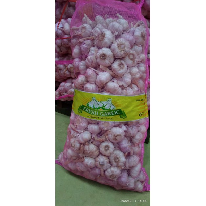 

bawangputih