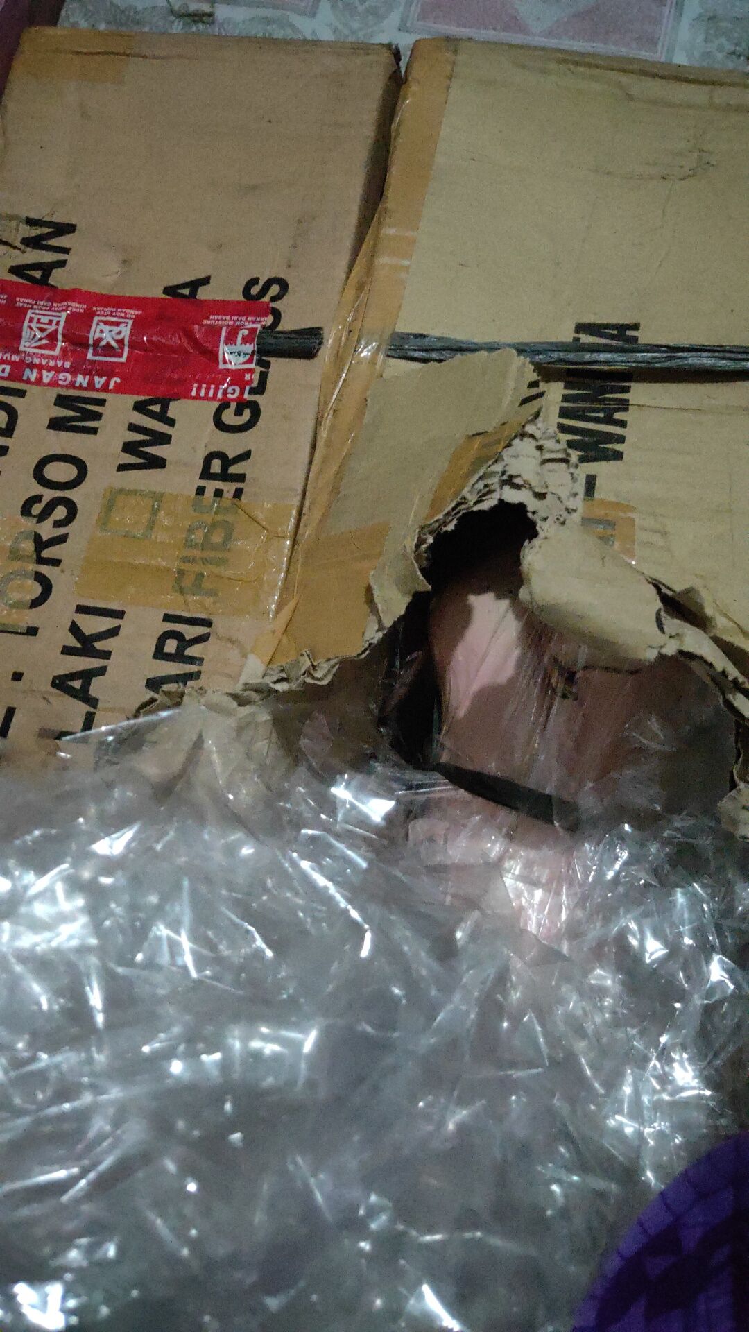 Saranaperaga - Torso Anatomi Manusia Wanita / Perempuan Uk Mini - Alat Peraga Sekolah Ipa