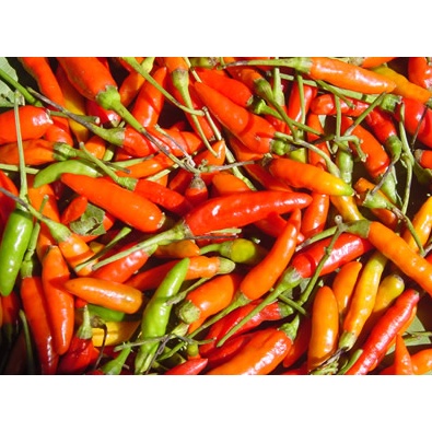 

CABE RAWIT CABE MERAH KERITING CABE TW BESAR 100GR (CEK VARIASI)
