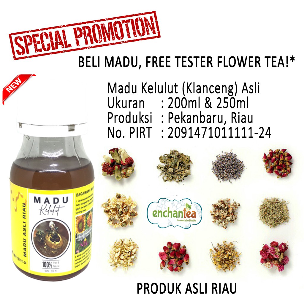 Madu Kelulut Klanceng Heterotrigona Itama 200 250ml Free Paket Tester Flower Tea Indonesia