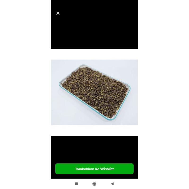 

Lada Hijau sichuan peppercorn 100 gr Mala Sechuan Andaliman