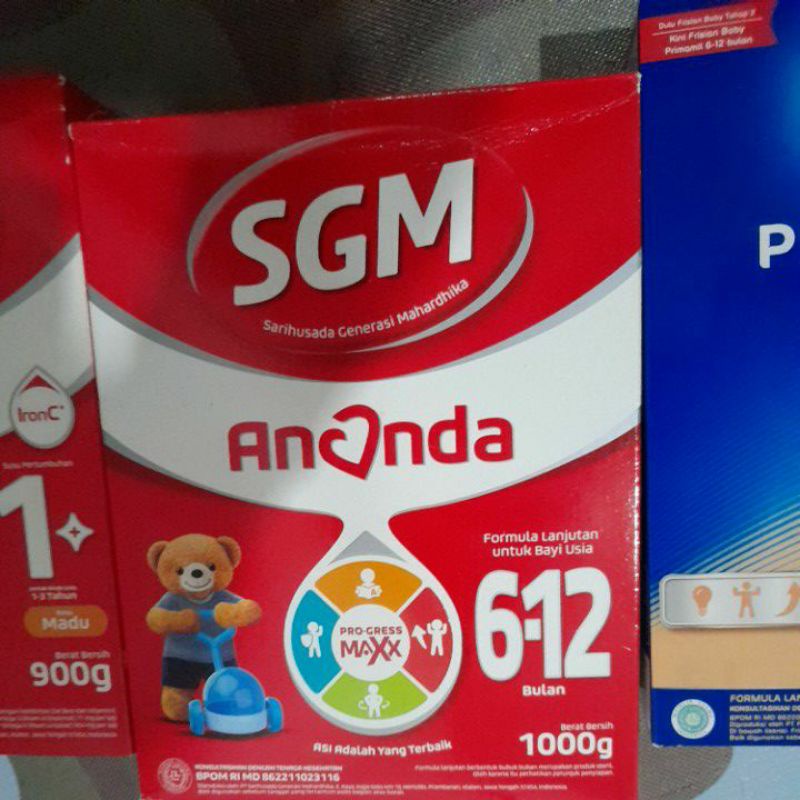 sgm ananda 6-12 bln