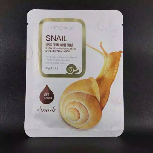 MASKER SNAIL / ROREC SNAIL / MASKER ROREC SNAIL