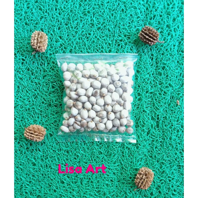 Biji jali,jola joli jagung,manik-manik,meronce