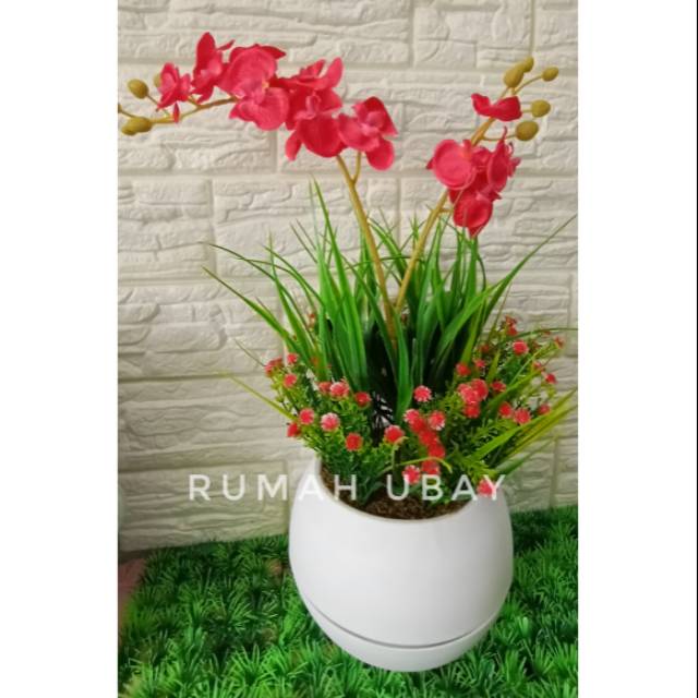 Anggrek merah / Anggrek bulan / Rangkaian anggrek bulan merah vas bulat