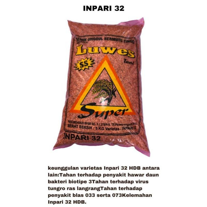 Benih padi gabah luwes tani Inpari 32 5kg