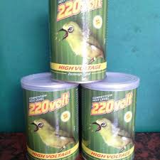 HIGH VOLTAGE 220 VOLT PAKAN SPESIAL BURUNG PLECI ORIENTAL WHITE EYE