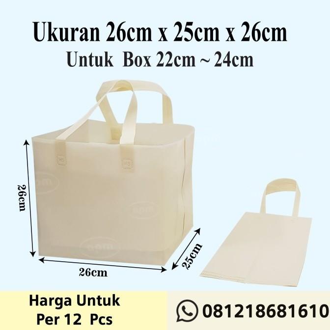 

Tas Spunbond Kotak Ukuran 25Cm 024