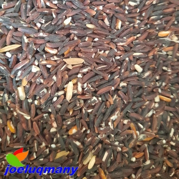 

Beras Hitam Curah Kemasan 500 Gram